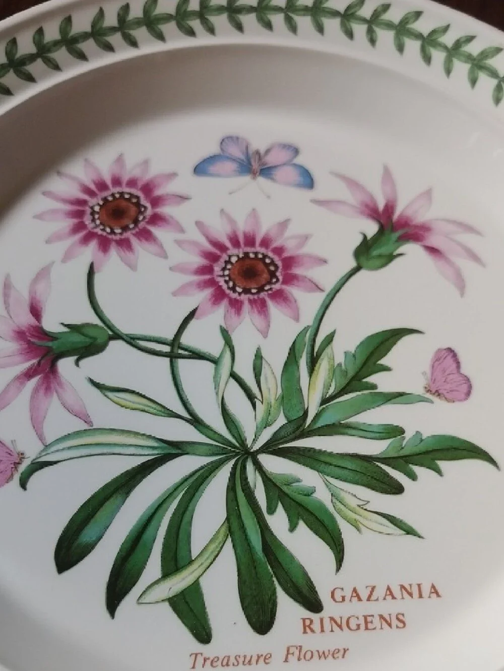 Port Meirion New Gazania Ringens Floral 8.5 Plate - Pink